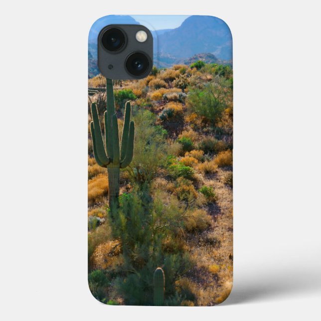 USA, Arizona. Desert View Case-Mate iPhone Hülle (Rückseite)