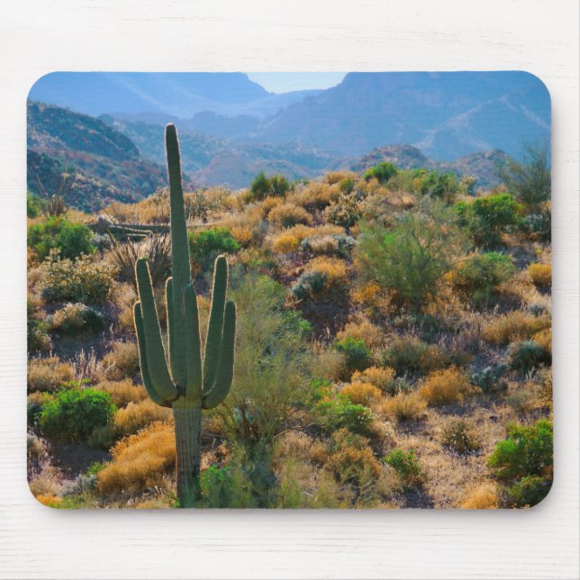 USA, Arizona. Desert View Mousepad (Vorne)