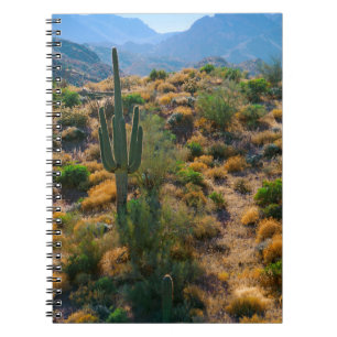 USA, Arizona. Desert View Notizblock