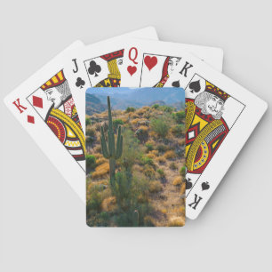 USA, Arizona. Desert View Spielkarten