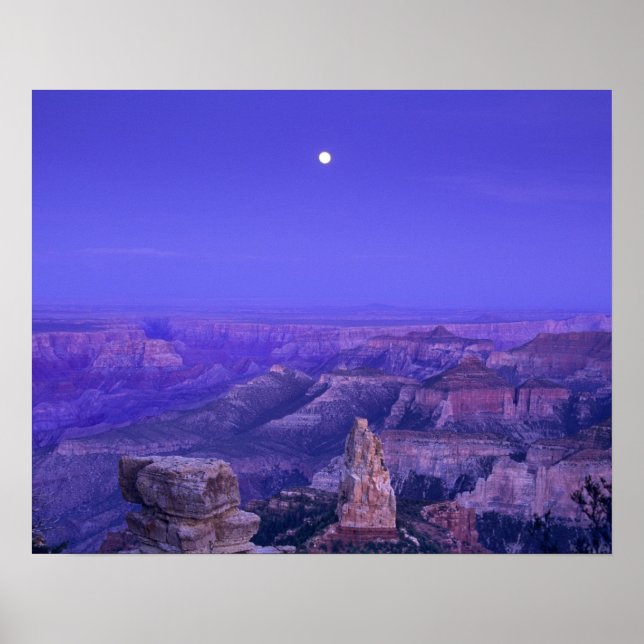 USA, Arizona, Grand Canyon National Park. Poster (Vorne)