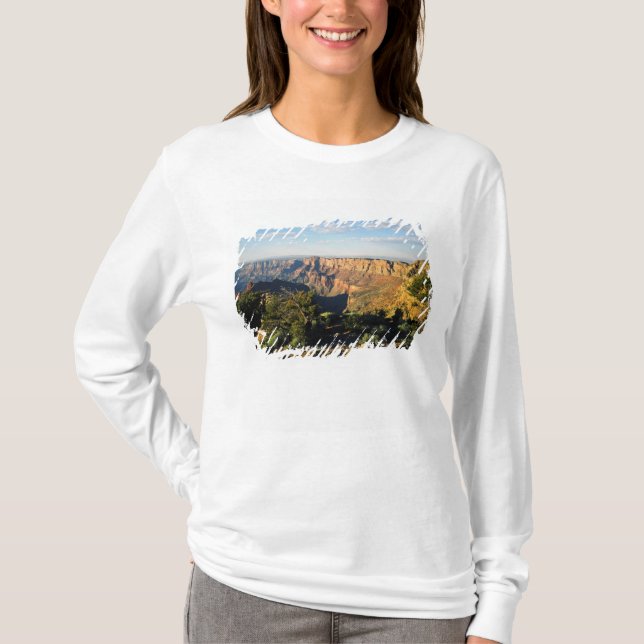 USA, Arizona, Grand Canyon National Park, View T-Shirt (Vorderseite)