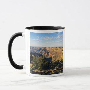 USA, Arizona, Grand Canyon National Park, View Tasse