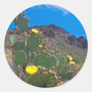 USA, Arizona. Kakteen Runder Aufkleber
