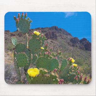 USA, Arizona. Kaktus in den Hügeln Mousepad