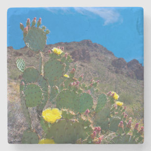 USA, Arizona. Kaktus in den Hügeln Steinuntersetzer