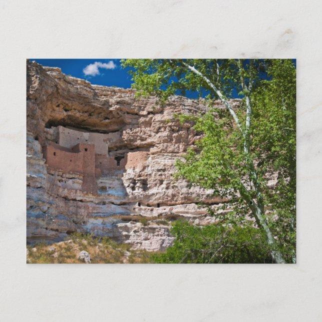 USA, Arizona. Montezuma Castle, The Ruins Postkarte (Vorderseite)