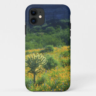 USA, Arizona, Organ Pipe Cactus National Case-Mate iPhone Hülle
