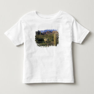 USA, Arizona, Organ Pipe National Monument. Kleinkind T-shirt