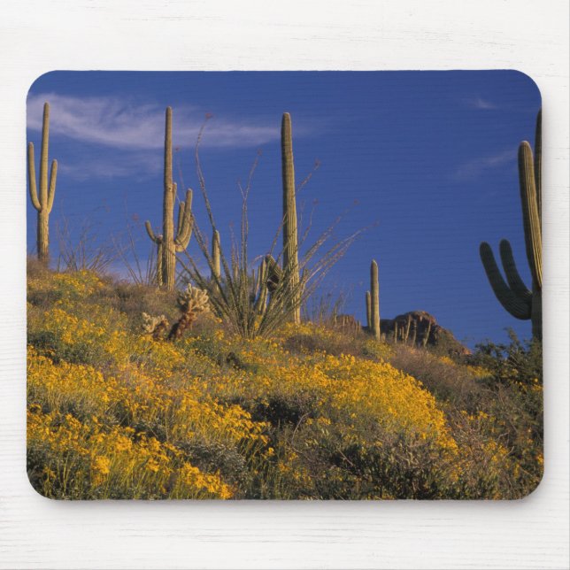 USA, Arizona, Orgelpipe Cactus National 2 Mousepad (Vorne)