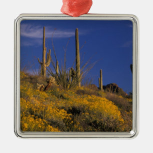 USA, Arizona, Orgelpipe Cactus National 2 Ornament Aus Metall