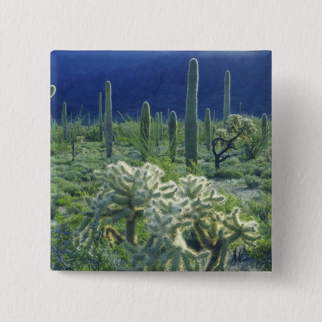 USA, Arizona, Orgelpipe Cactus National Button (Vorderseite)