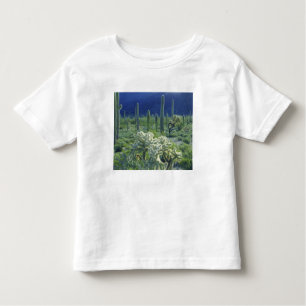 USA, Arizona, Orgelpipe Cactus National Kleinkind T-shirt