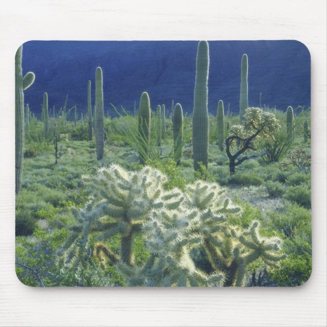 USA, Arizona, Orgelpipe Cactus National Mousepad (Vorne)