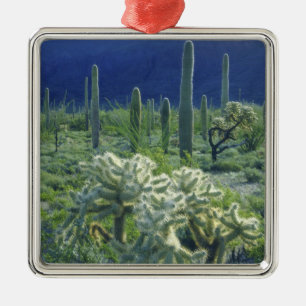 USA, Arizona, Orgelpipe Cactus National Silbernes Ornament