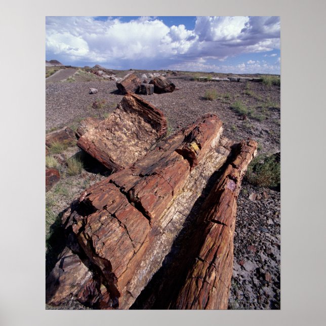 USA, Arizona, Petrified Forest National Park, 2 Poster (Vorne)