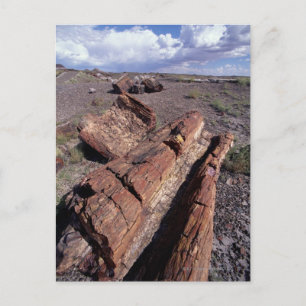 USA, Arizona, Petrified Forest National Park, 2 Postkarte