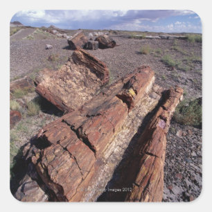 USA, Arizona, Petrified Forest National Park, 2 Quadratischer Aufkleber