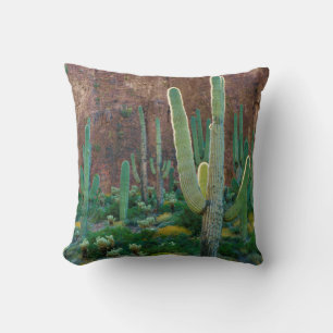 USA, Arizona. Saguaro-Kaktusfeld an einer Klippe Kissen