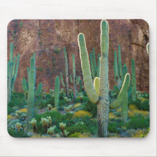 USA, Arizona. Saguaro-Kaktusfeld an einer Klippe Mousepad