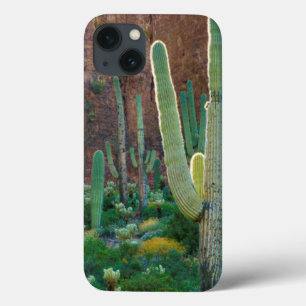 USA, Arizona. Saguaro-Kaktusfeld durch eine Klippe Case-Mate iPhone Hülle
