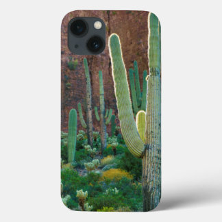 USA, Arizona. Saguaro-Kaktusfeld durch eine Klippe iPhone 13 Hülle