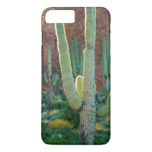 USA, Arizona. Saguaro-Kaktusfeld durch eine Klippe Case-Mate iPhone Hülle