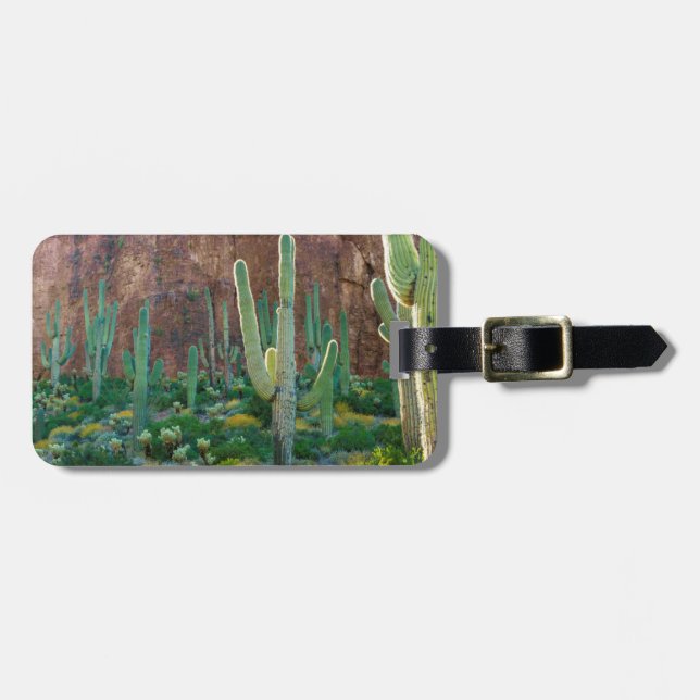 USA, Arizona. Saguaro-Kaktusfeld durch eine Klippe Gepäckanhänger (Vorderseite horizontal)