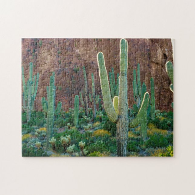 USA, Arizona. Saguaro-Kaktusfeld durch eine Klippe Puzzle (Horizontal)