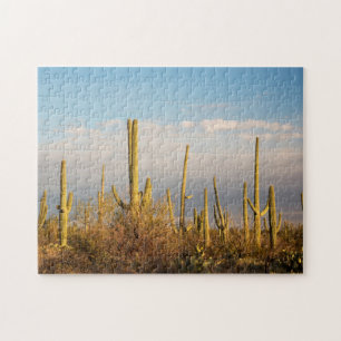USA, Arizona, Saguaro National Park, Saguaro Puzzle