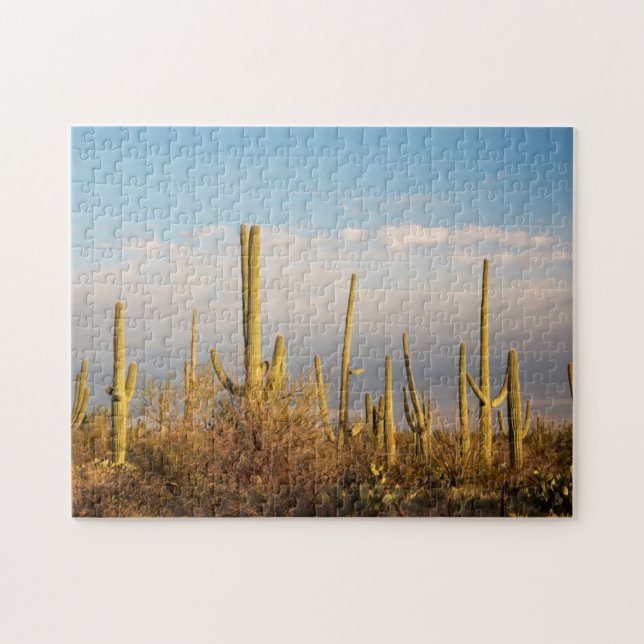 USA, Arizona, Saguaro National Park, Saguaro Puzzle (Horizontal)