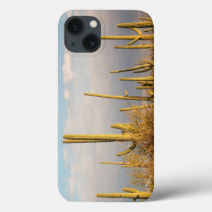 USA, Arizona, Saguaro-Nationalpark, Saguaro Case-Mate iPhone Hülle
