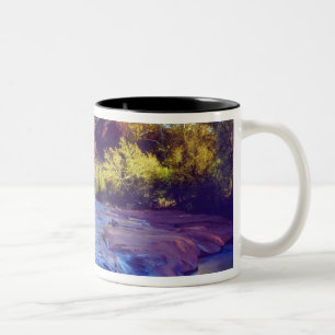 USA, Arizona, Sedona. Cathedral Rock spiegelt 2 Zweifarbige Tasse
