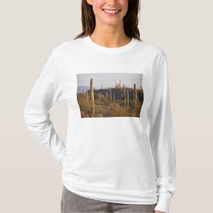 USA, Arizona, Sonoran Desert, Ajo, Ajo 2 T-Shirt