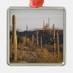 USA, Arizona, Sonoran-Wüste, Ajo, Ajo 2 Silbernes Ornament