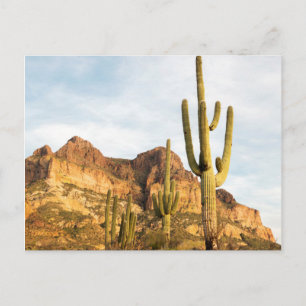 USA, Arizona, Tonto National Forest, Picketpost 2 Postkarte