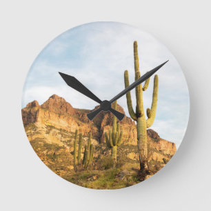 USA, Arizona, Tonto National Forest, Picketpost 2 Runde Wanduhr