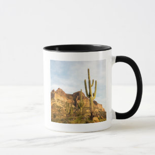 USA, Arizona, Tonto National Forest, Picketpost 2 Tasse