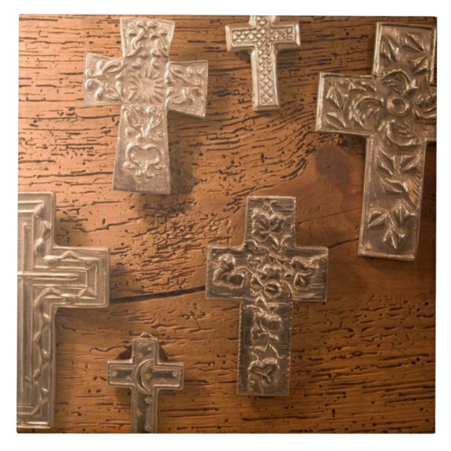 USA, Arizona, Tubac: Ministerpräsident von Süd-Ari Fliese (Vorderseite)