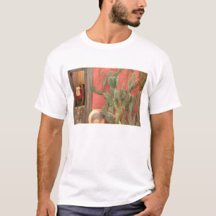USA, Arizona, Tucson: Historischer Bezirk Presidio T-Shirt