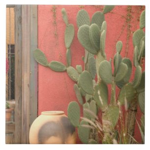 USA, Arizona, Tucson: Presidio Historic District 2 Fliese