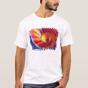 USA, Arizona, Val Vista. Farbenfrohe heiße Luft T-Shirt