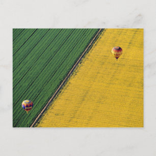 USA, Arizona, Val Vista. Heißluftballone steigen Postkarte