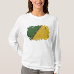 USA, Arizona, Val Vista. Heißluftballone steigen T-Shirt
