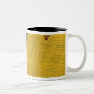 USA, Arizona, Val Vista. Heißluftballons steigen a Zweifarbige Tasse