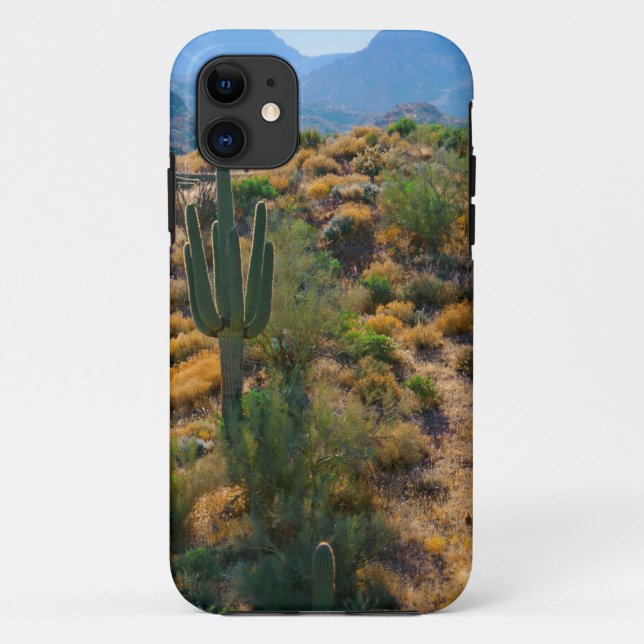 USA, Arizona. Wüstenansicht Case-Mate iPhone Hülle (Rückseite)