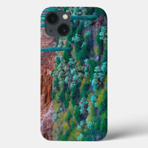 USA, Arizona. Wüstenflora Case-Mate iPhone Hülle
