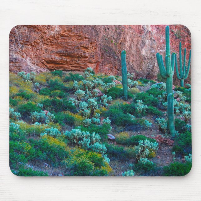 USA, Arizona. Wüstenflora Mousepad (Vorne)