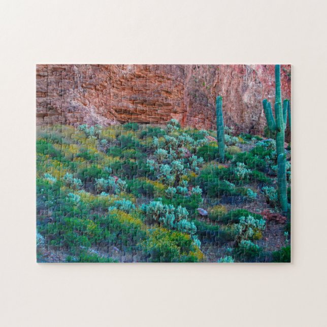 USA, Arizona. Wüstenflora Puzzle (Horizontal)