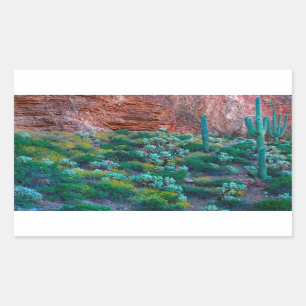 USA, Arizona. Wüstenflora Rechteckiger Aufkleber